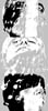 godot