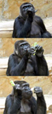 zooleben zooleben